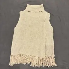 スローブイエナ