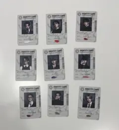 &TEAM 月狼 ID トレカ ９枚セット