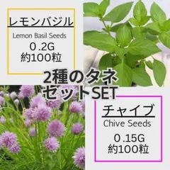 ruchiana様 金額をお確かめくださいリクエスト 2点 まとめ商品
