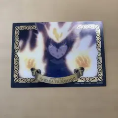 家庭教師ヒットマンREBORN! 沢田綱吉 カード グミ