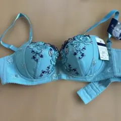 2026年最新】ワコール リボンブラの人気アイテム - メルカリ