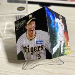 Item thumbnail for item 3305588b-d485-4ede-9f3f-569ca251bf9d