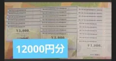 ビックカメラ　コジマ　株主優待 お買物優待券　12000円分　A