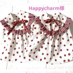 犬服ハンドメイド　Happycharm様オーダー品
