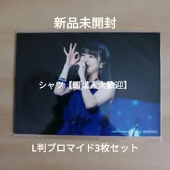 モーニング娘。'24 ツアー 石田亜佑美 FINAL L判ブロマイド3枚セット