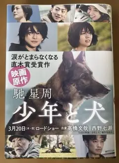 少年と犬