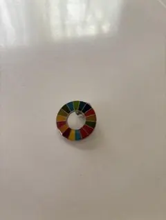 SDGs ピンバッジ