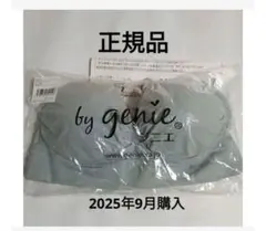 Item thumbnail for item 8c9c9de8-462f-40f7-92ac-f18b98efdf7c