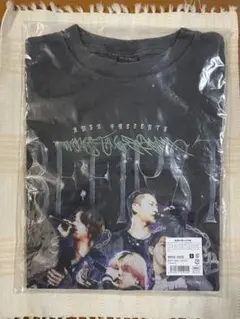 Item thumbnail for item 54a26f1e-5583-4650-b086-d72efa7ae41b