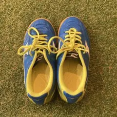 ミズノ フットサルシューズ ジュニア 19.5㎝のサムネイル