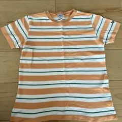 ラブラドールレトリーバー　レディース半袖Tシャツ Sサイズのサムネイル