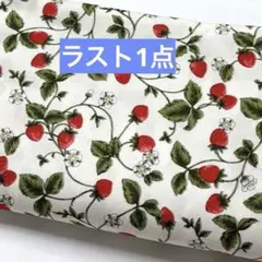 大特価‼️生地　ハギレ　いちご柄　　花柄　 オックス地　オフホワイト