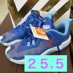 ナイキ ジョーダン ワン テイク4 PF 青DO7192-400新品 25.5