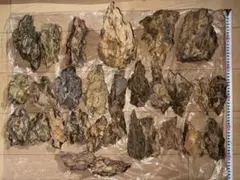 2026年最新】黄虎石の人気アイテム - メルカリ