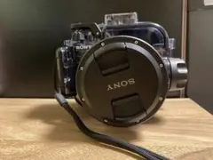 Item thumbnail for item 5f303b34-93c6-477d-835d-95ccae0ad112