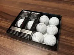 【新品】カークランド ゴルフボール 3ピース performance+、12球