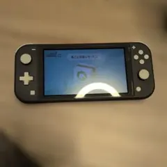 Nintendo Switch Lite グレー 本体　純正充電器セット
