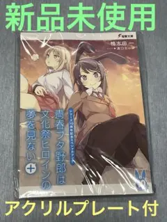送料無料☆2枚組 ヤミ当選品A4クリアファイルとらぶるToLOVEる