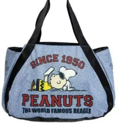 PEANUTS スヌーピー 保冷温 バルーンバッグ ソフトタイプ