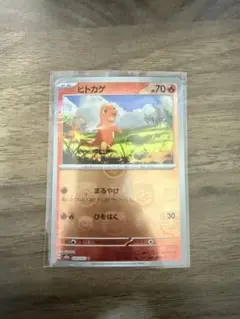 2026年最新】ヒトカゲ マスターボールの人気アイテム - メルカリ