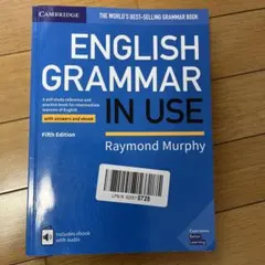English grammar in use