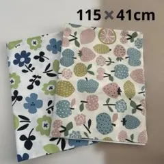 生地　布　２枚セット