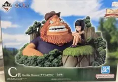 一番くじ ONE PIECEC賞 Revible Moment