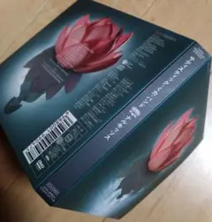 Item thumbnail for item 8ab8ac27-7c98-4e11-bc0d-9d5d02ce1d0e