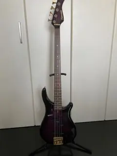 2025年最新】fernandes ピックアップの人気アイテム - メルカリ