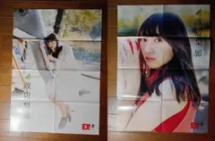欅坂46 渡辺梨加 特大両面ポスター EX大衆付録 B2サイズ相当 1枚