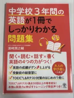 pokepapa様 リクエスト 2点 まとめ商品