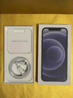 【美品】iPhone12 64G ブラック docomo版 SIMロック解除済