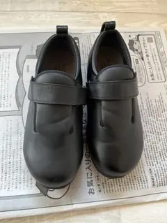 Item thumbnail for item fcd3323a-1f25-479d-ac2c-f9068e36283d