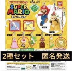 スーパーマリオ めじるしアクセサリー2 シークレット　2種セット