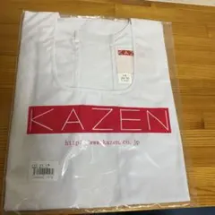 Item thumbnail for item 1d7393a1-9bec-4d0c-b551-b9f27c856e18