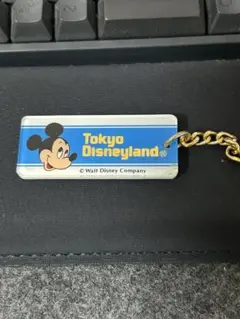 Tokyo Disneyland ミッキーマウス キーホルダー