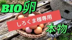 しろくま様専用のサムネイル