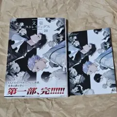 文豪ストレイドッグス (28)(特典付き)