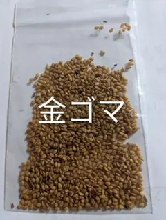 アボカド様 リクエスト 2点 まとめ商品