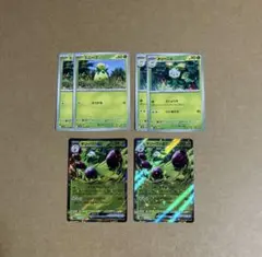 ポケモンカード　ミニーブ、オリーニョ、オリーヴァex 6枚セット