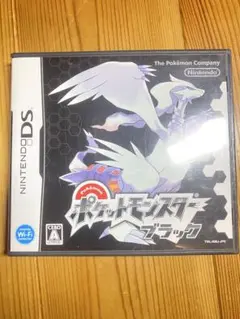 ニンテンドーDS ポケットモンスター ブラック