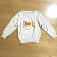 インセクトコレクション　セーターMサイズ