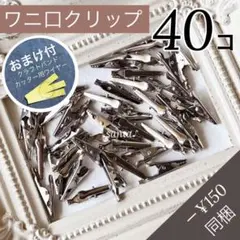 【M11-4】ワニ口クリップ 40個【匿名配送】紙バンドクラフト PPバンド