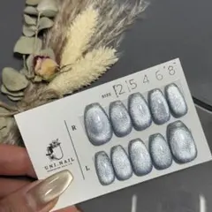 《即購入OK》52. マグネット ラメ フレンチ ネイルチップ