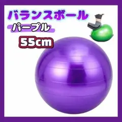バランスボール 55cm 紫 フィットネス トレーニング 体幹 ヨガ ジム