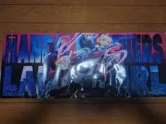 2025年最新】ハンディーレディ プレイマットの人気アイテム - メルカリ