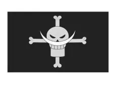 2025年最新】海賊旗 白ひげの人気アイテム - メルカリ