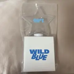 2026年最新】WiLD blue ペンライトの人気アイテム - メルカリ