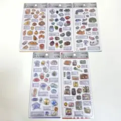 【正規品】新作　大人の図鑑シール3D 5枚セット
