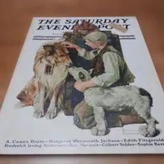 ロックウェルSaturday Evening Post 1929年 ロックウェルSaturday Evening Post 1929年8月 - メルカリ